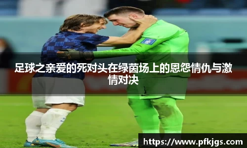 足球之亲爱的死对头在绿茵场上的恩怨情仇与激情对决